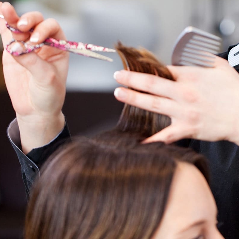Curso Belleza
